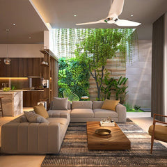 Collection image for: Home and Garden